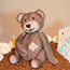 Edible teddy bear model